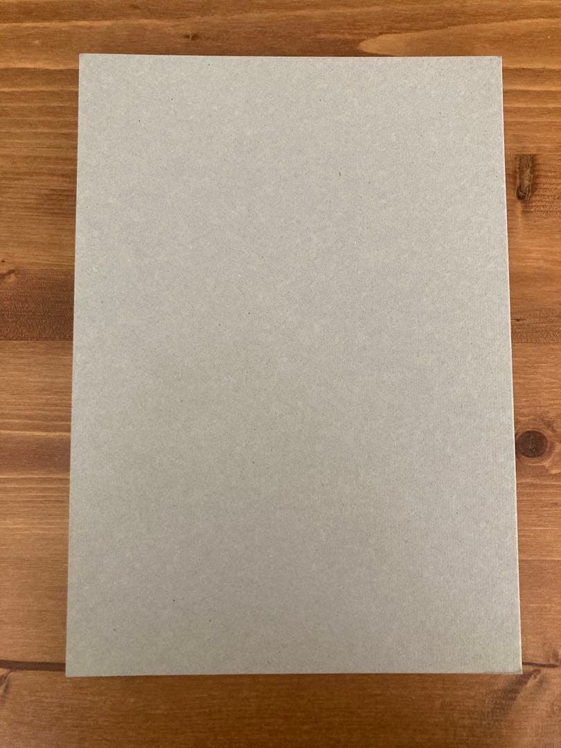 Yosuke Yamaguchi Become a Bone Art Book 96 Pages 9.8×7.2in Illustrated