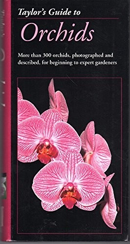 Orchids, Judywhite