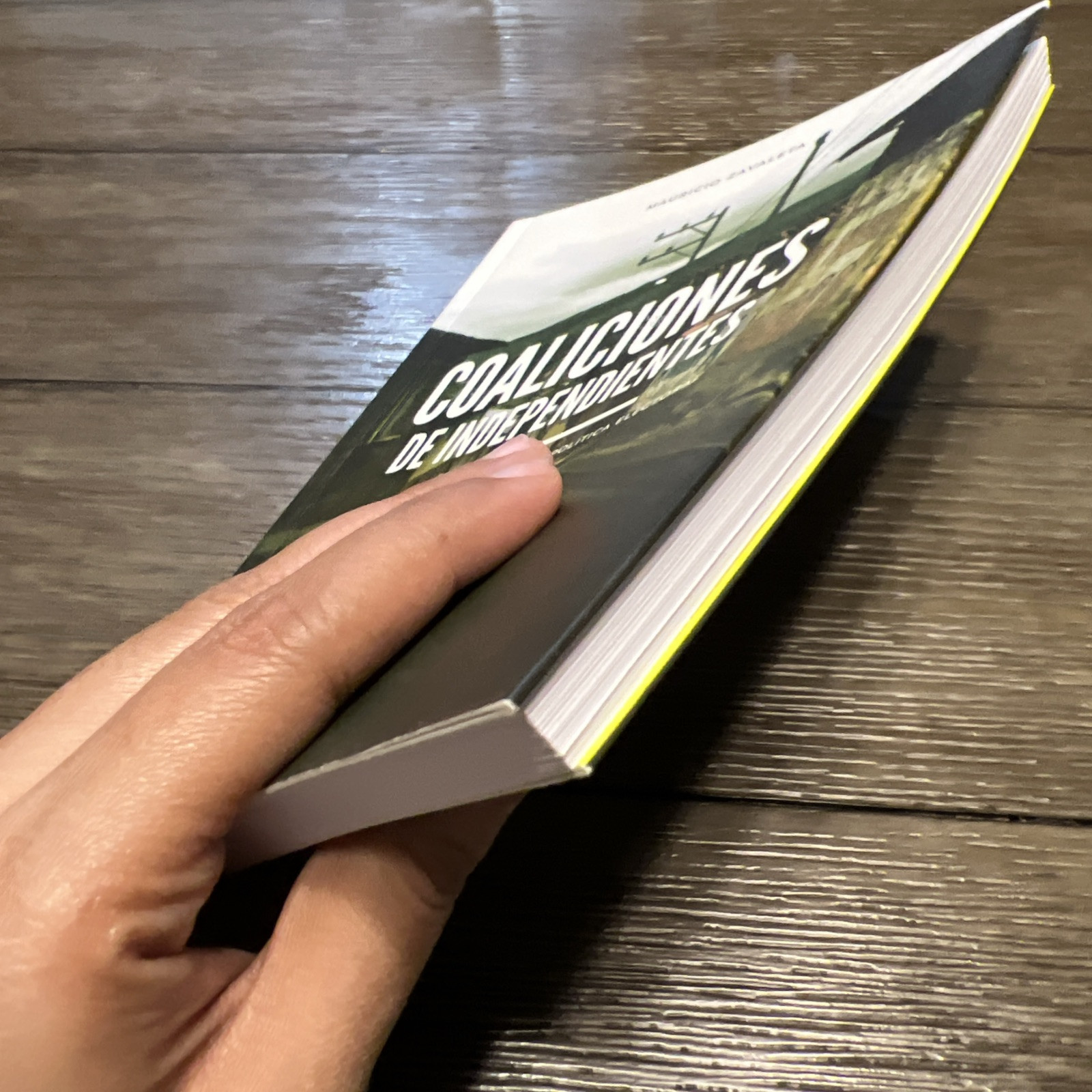 SIGNED – Coaliciones De Independientes by Mauricio Zavaleta