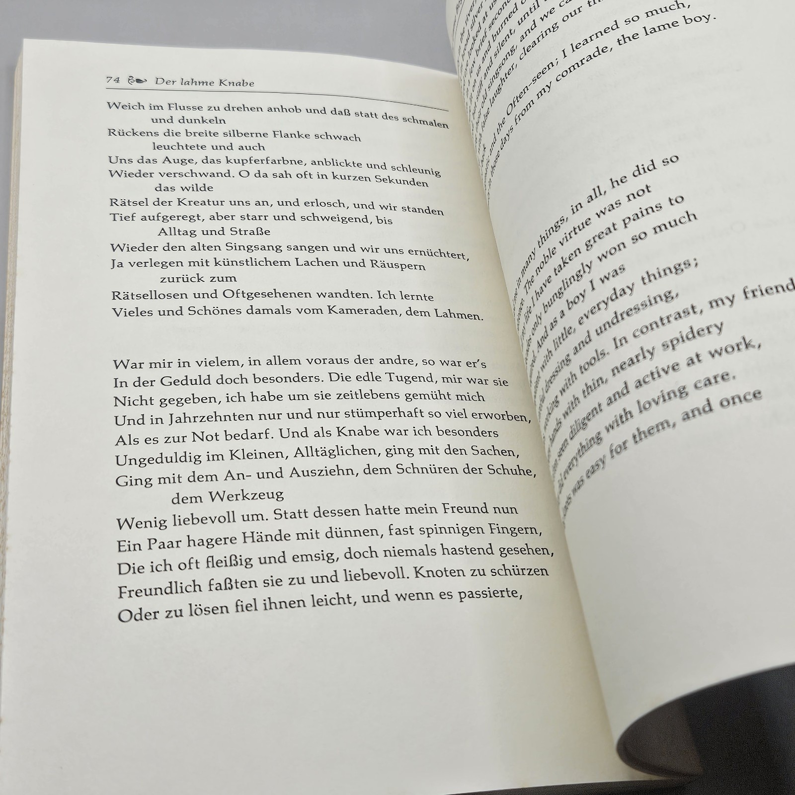 Hermann Hesse HOURS IN THE GARDEN Farrar Straus Giroux 1979 Bilingual Edition