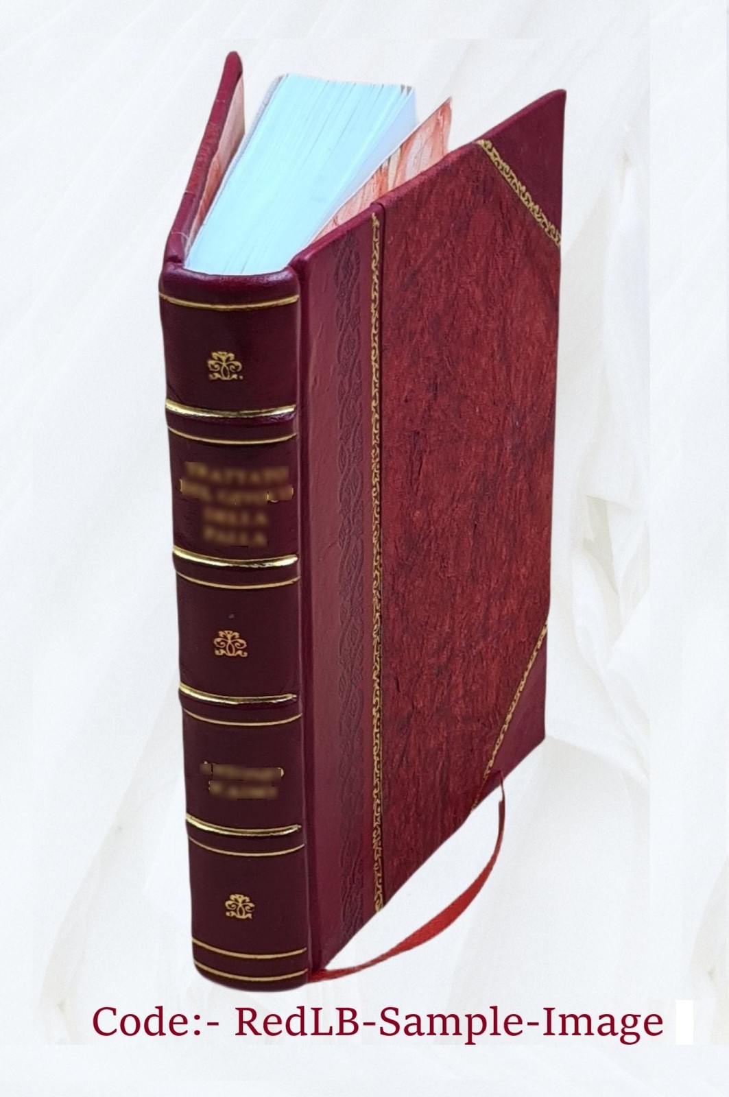 Fasti Ecclesi? Scotican?; The Succession Of Ministers In The Chu [Leather Bound]