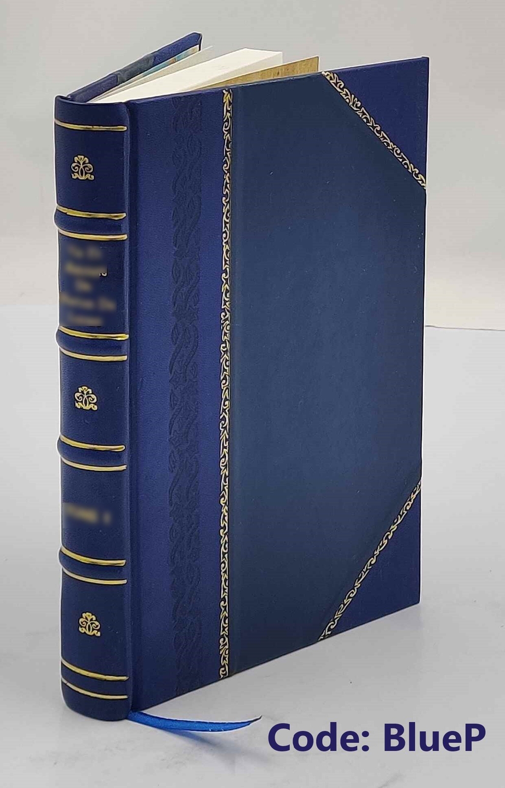 Geschichte des osterreichischen Strafrechtes in Verbindung mit e [Leather Bound]