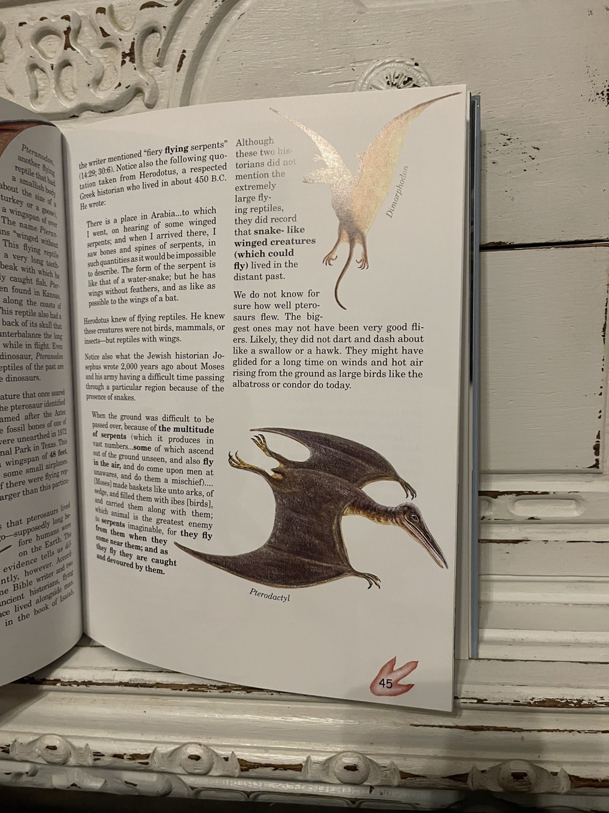 Dinosaur Released, The True Story About Dinosaurs And Humans Lyons & Butt 2nd Ed