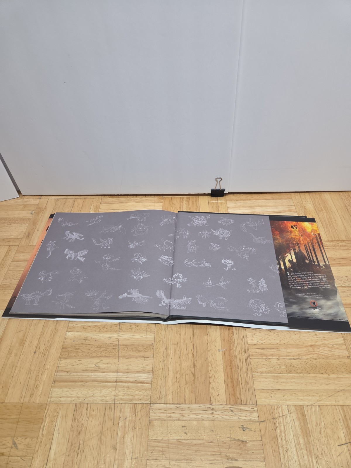 The Art of How to Train Your Dragon 1 & 2 Book Lot Hardcover DreamWorks Rare