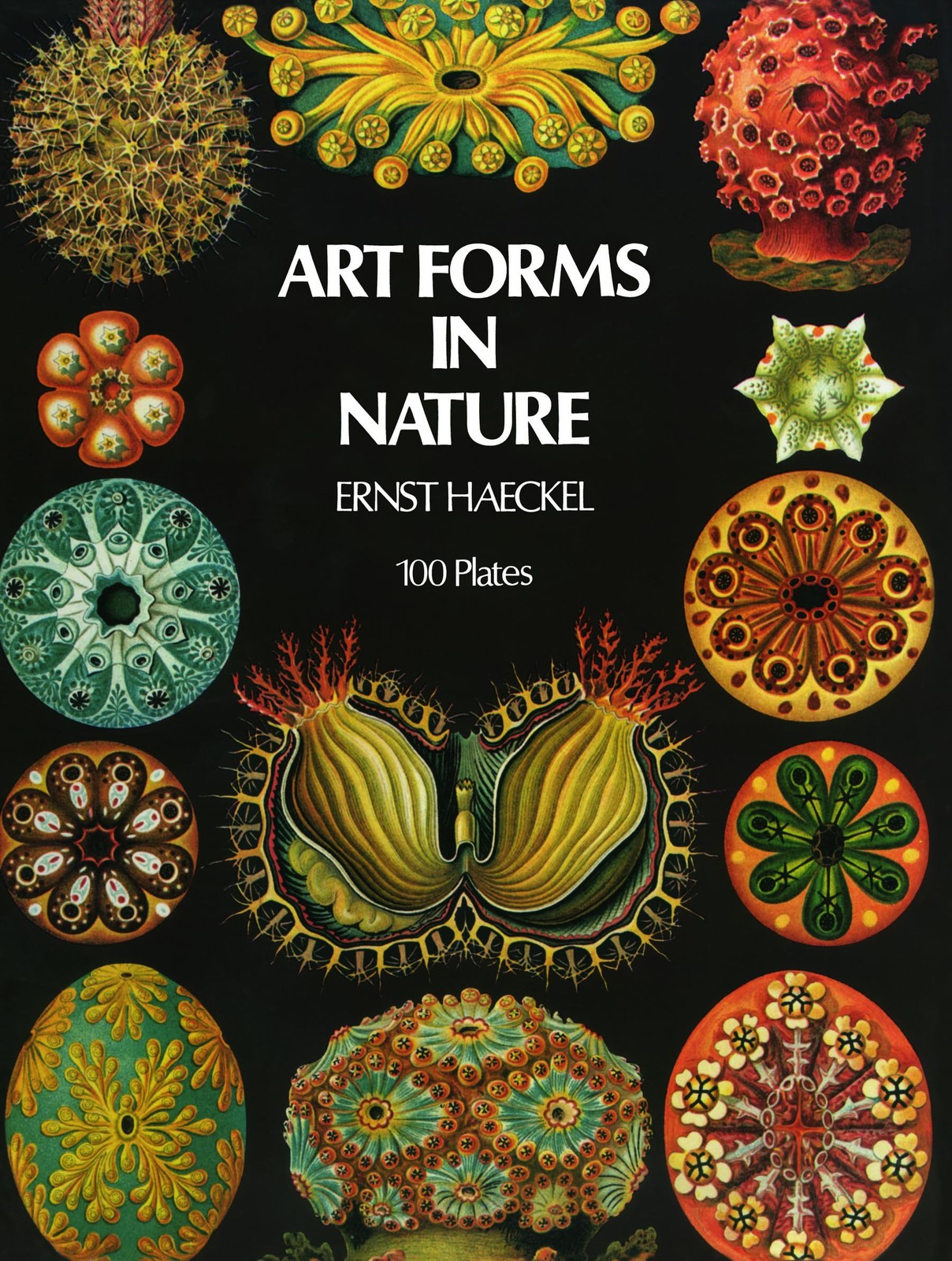 Art Forms in Nature (Dover Pictorial Archive) – paperback Haeckel, Ernst