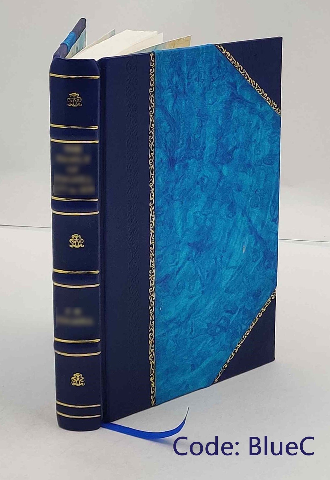 Die optischen Instrumente der Firma r. Fuess deren Beschreibung [Leather Bound]