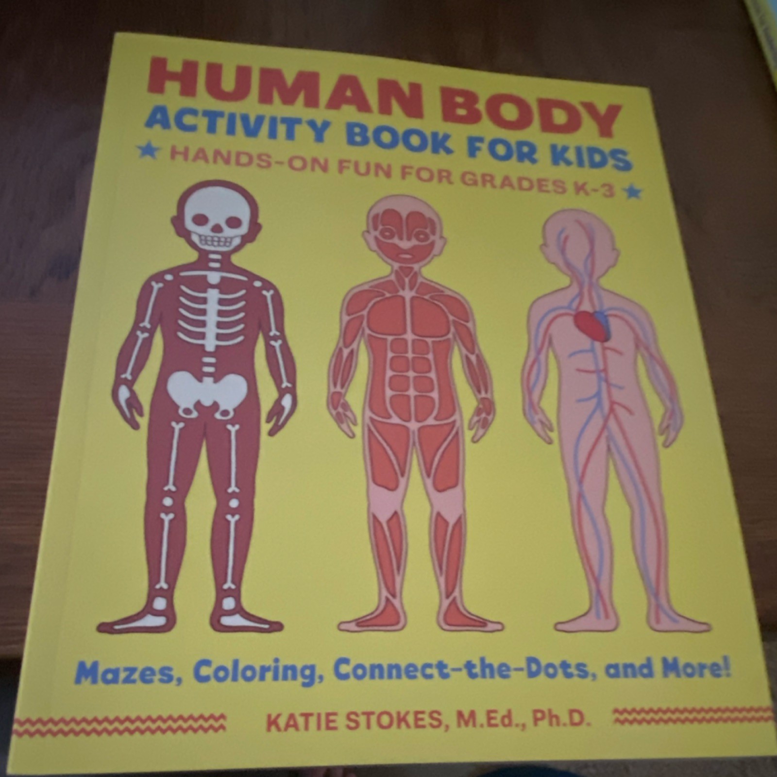 Human Body Activity Book for Kids by Katie Stokes Ages 4-8 Science Biology Mazes