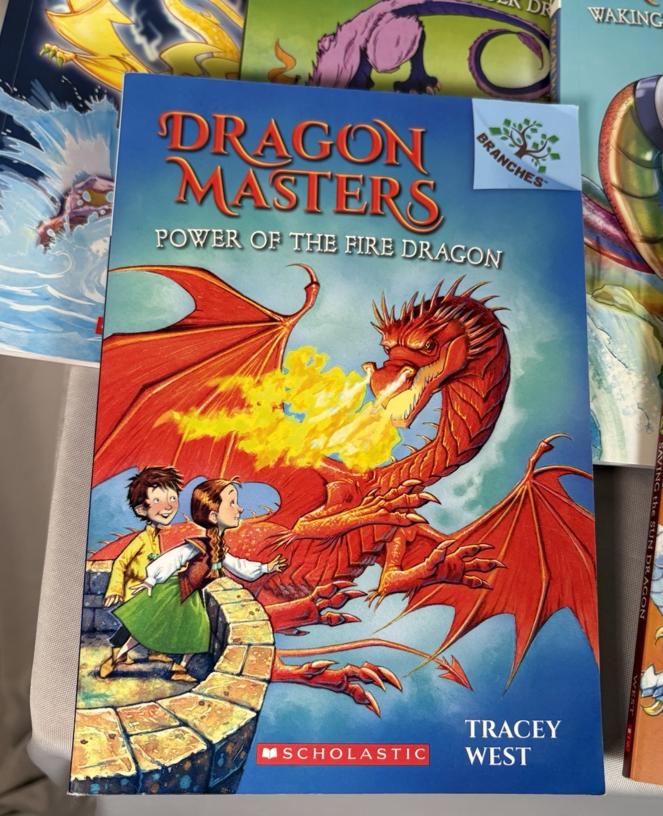 Dragon Masters Book Lot of 9 By Tracey West for Ages 6-8 – Different Adventures