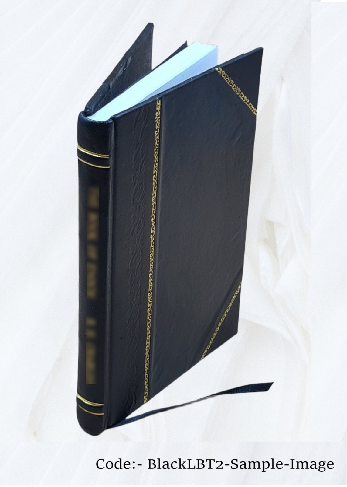 The Embroiderer’S Book Of Design : Containing Initials, Emblems, [Leather Bound]
