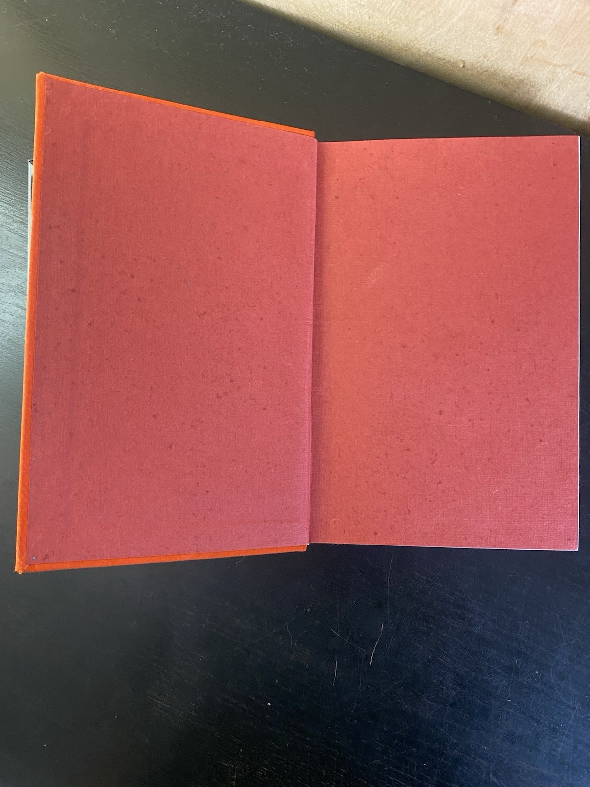 The Ribhu Gita: First English Translation from the Original Sanskrit HC