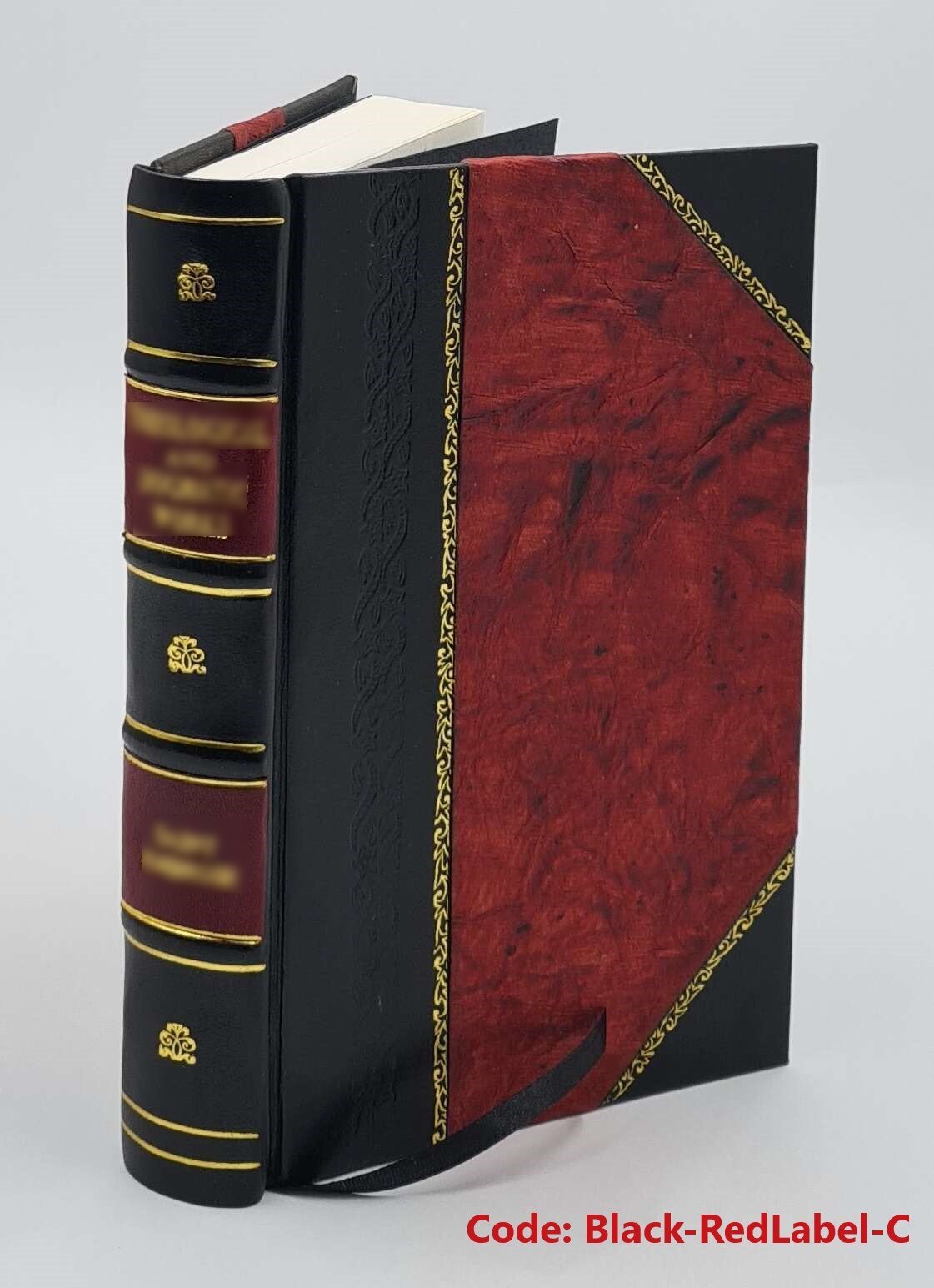 Die Psychologie in Kants Ethik 1891 by Alfred Hegler [Leather Bound]