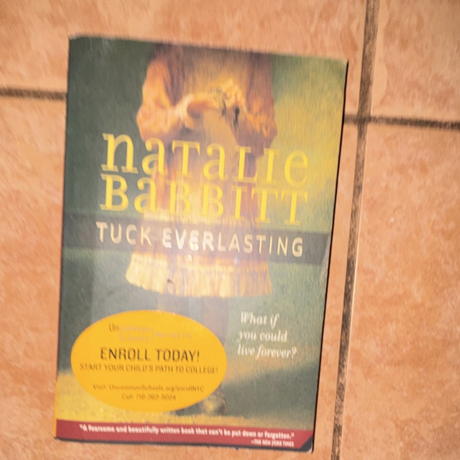 Square Fish Tuck Everlasting Natalie Babbitt Paperback Classics Fantasy Magic