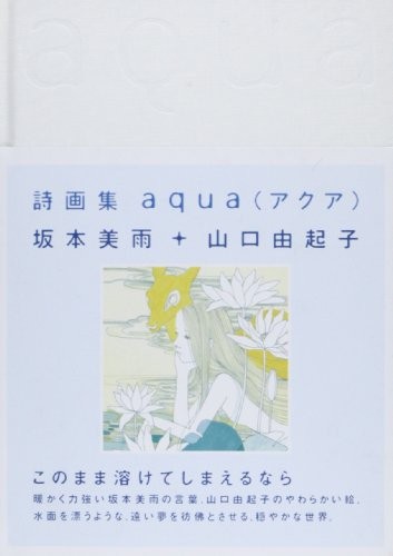 Aqua Book New 214x152mm 222g Japanese Edition