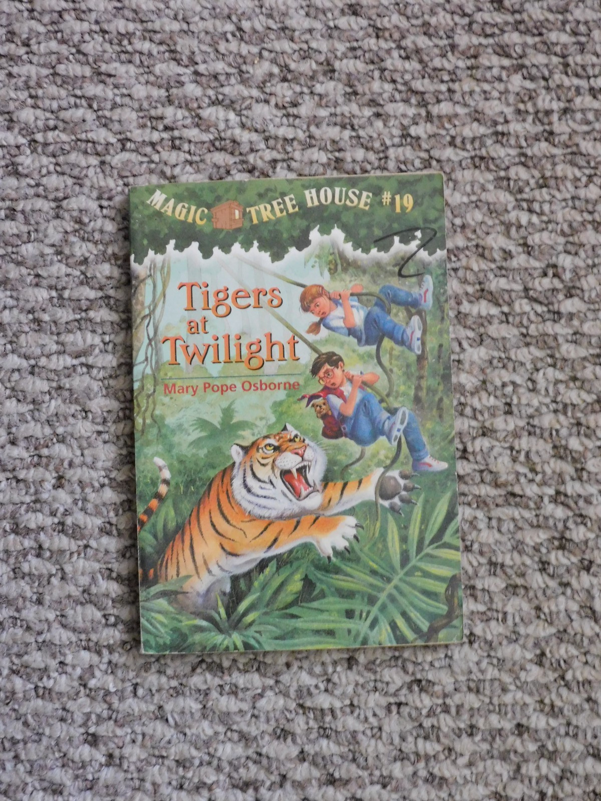 Lot of various Individual Magic Tree House Books: Mixed Publishers