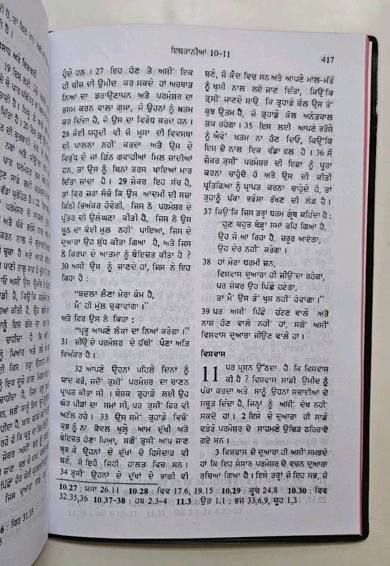 Punjabi New Testament Bible Vinyl Cover Bible Society Of India *NEW* 2009