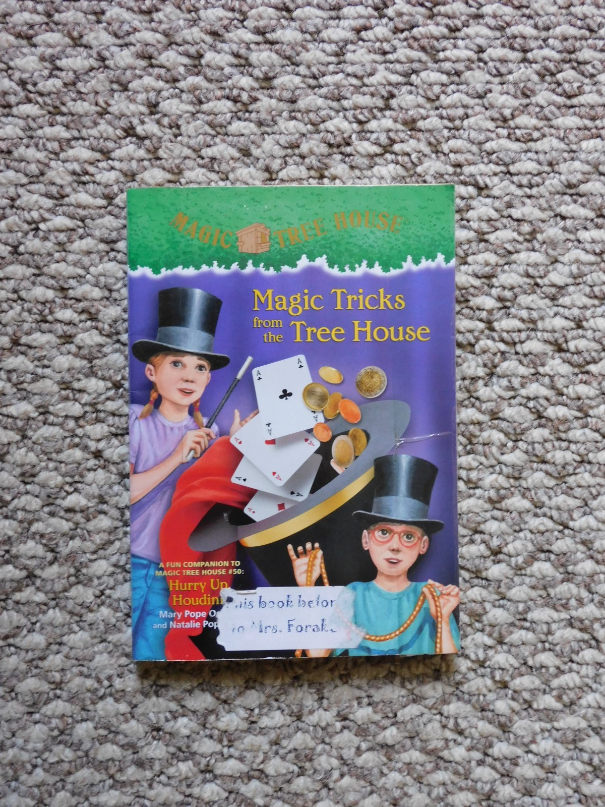 Lot of various Individual Magic Tree House Books: Mixed Publishers