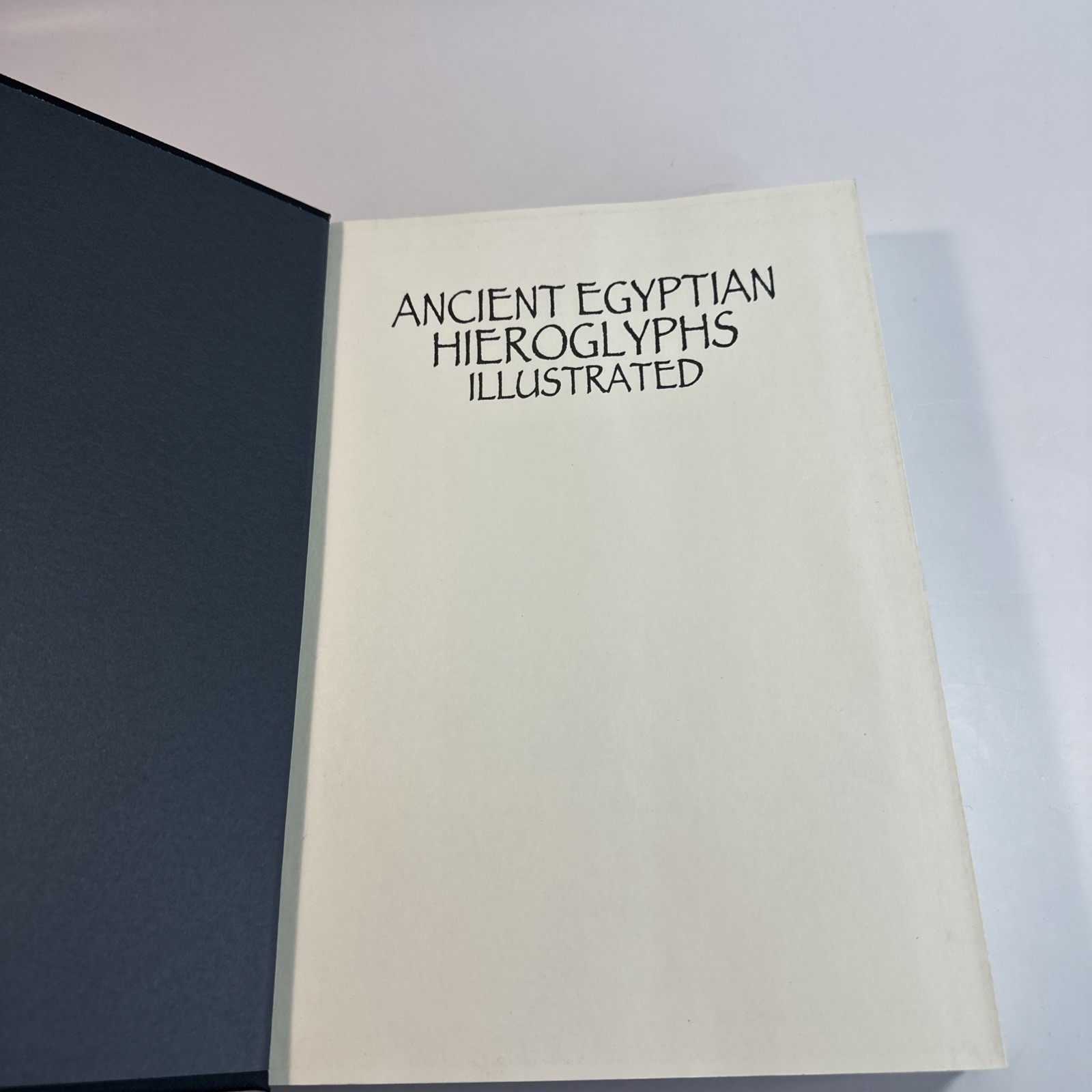 Ancient Egyptian Hieroglyphs Illustrated by Trevor Naylor 2025 Pr. Amber