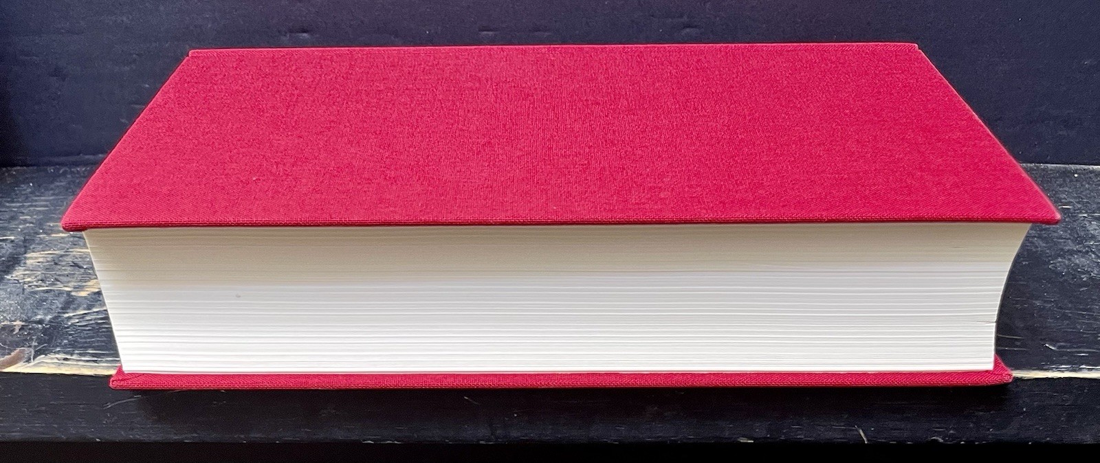 Magic Mountain Introduction by Thomas Mann Everymans Library 285 Like New Y1