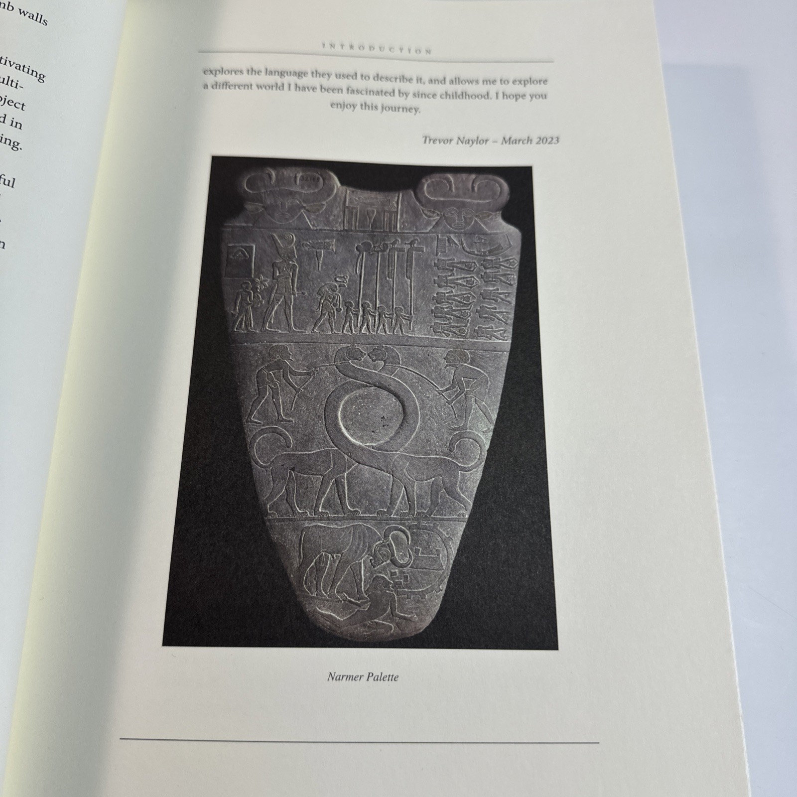 Ancient Egyptian Hieroglyphs Illustrated by Trevor Naylor 2025 Pr. Amber