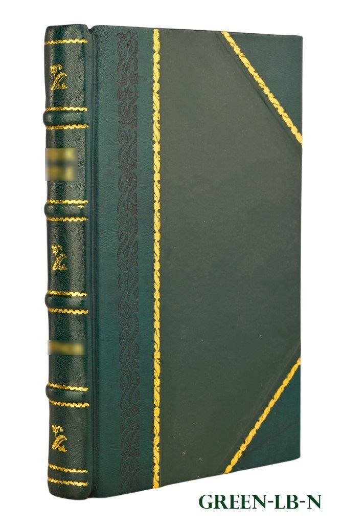 Die Bilanzen der Aktiengesellschaften und der Kommanditgesellsch [Leather Bound]