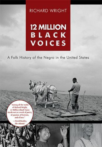 12 Million Black Voices, Like New Used, Free shipping in the US