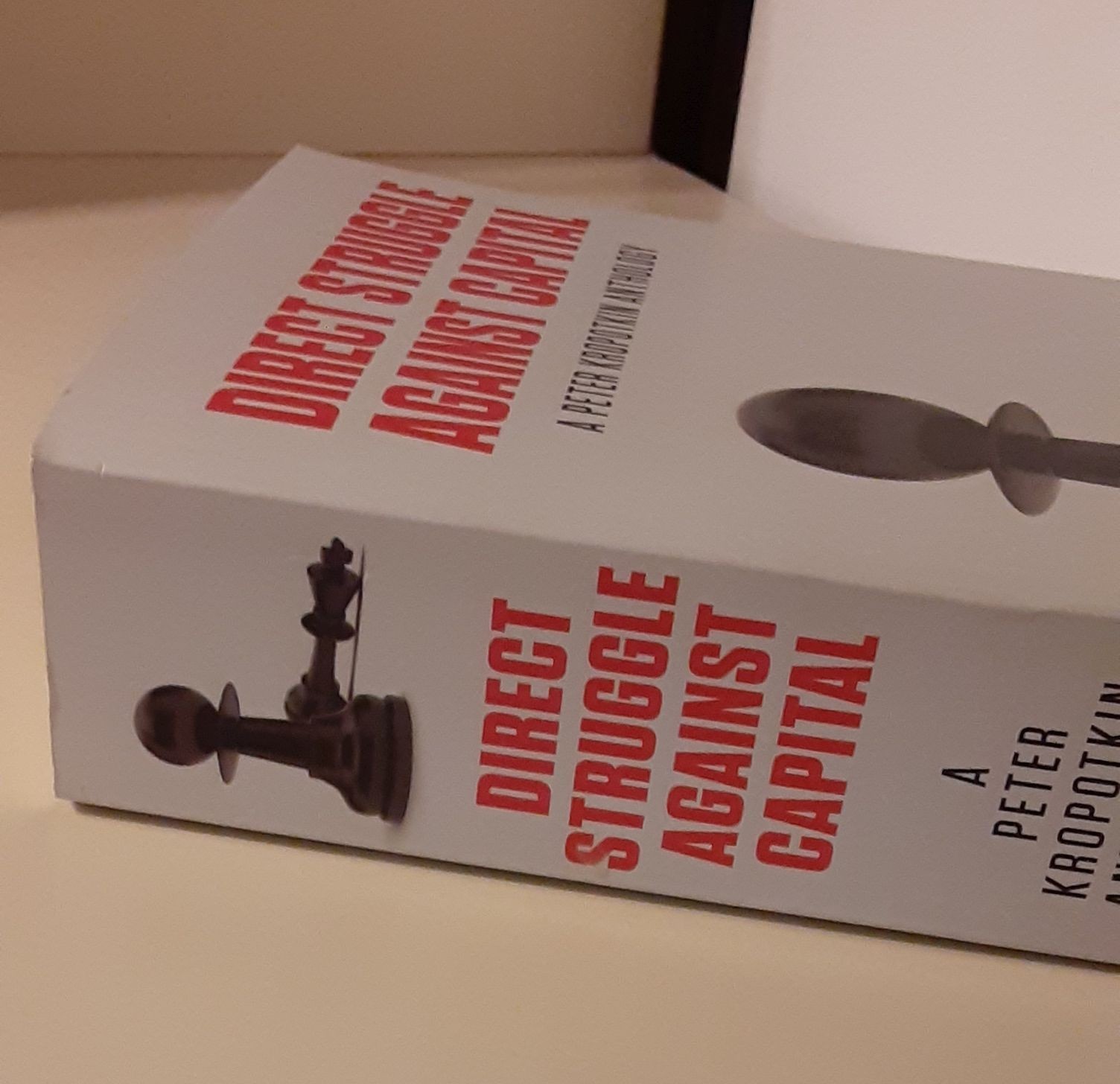 Direct Struggle Against Capital: A Peter Kropotkin Anthology. Iain McKay (ed.)
